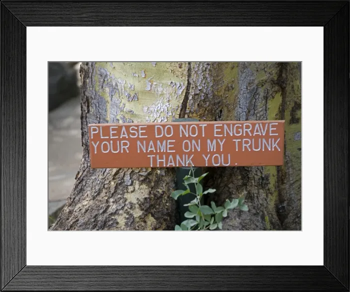 Framed Print : Notice on Tree trunk - Please do not engrave your name on my trunk'. Mzima Springs, Tsavo West National Park, Kenya, Africa Framed Print : Notice on Tree trunk - Please do not engrave your name on my trunk'. Mzima Springs, Tsavo West National Park, Kenya, Africa