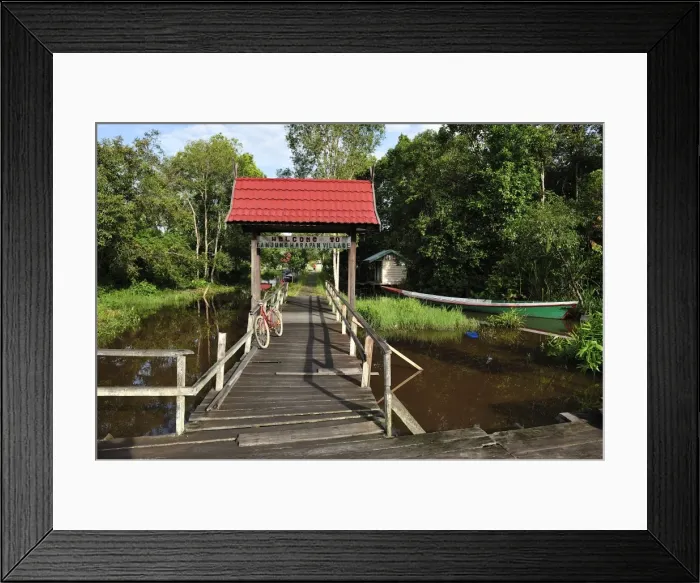Framed Print : port of Tanjung Harapan village - Tanjung Puting National Park - Kalimantan - Borneo - Indonesia Framed Print : port of Tanjung Harapan village - Tanjung Puting National Park - Kalimantan - Borneo - Indonesia