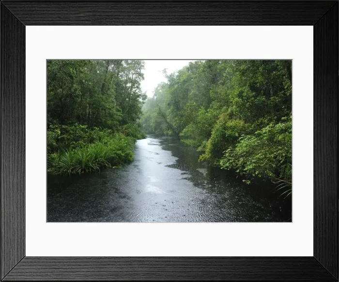 Framed Print : Heavy rain - blackwater river on the way to Camp Leakey - Tanjung Puting National Park - Kalimantan - Borneo - Indonesia Framed Print : Heavy rain - blackwater river on the way to Camp Leakey - Tanjung Puting National Park - Kalimantan - Borneo - Indonesia