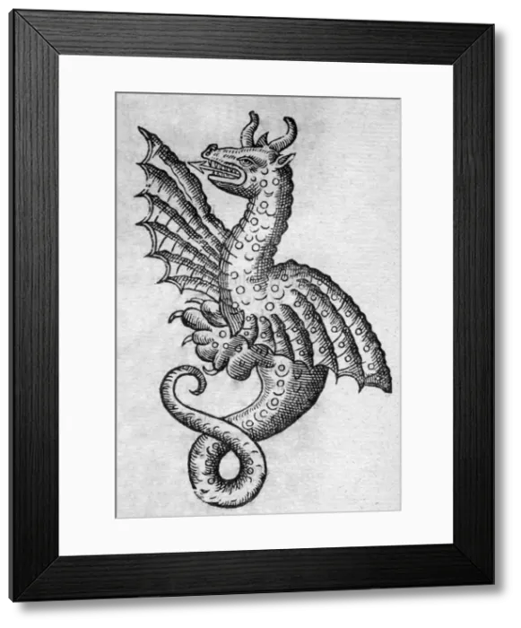 Framed Print : Black & White Illustration: Dragon- woodcut in Topsell 1658 Framed Print : Black & White Illustration: Dragon- woodcut in Topsell 1658