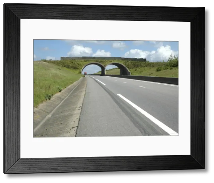 Framed Print : Habitat Green Bridge on French autoroute (south of Calais) France Framed Print : Habitat Green Bridge on French autoroute (south of Calais) France