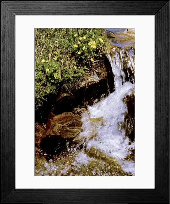 Framed Print : Creek and flowers - Creek flowing strongly with snow melt - Kosciuszko National Park, New South Wales, Australia JPF09556 Framed Print : Creek and flowers - Creek flowing strongly with snow melt - Kosciuszko National Park, New South Wales, Australia JPF09556
