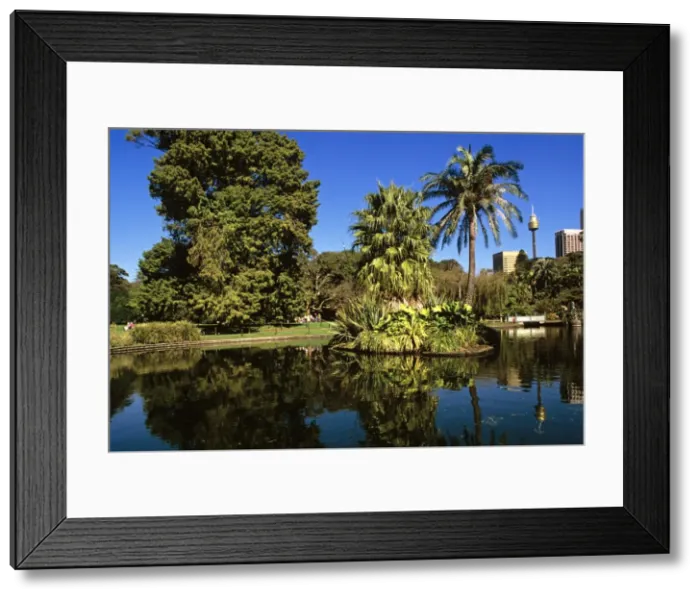 Framed Print : Royal Botanic Gardens with city and Sydney Tower beyond central pond, Sydney, New South Wales, Australia JPF50205 Framed Print : Royal Botanic Gardens with city and Sydney Tower beyond central pond, Sydney, New South Wales, Australia JPF50205