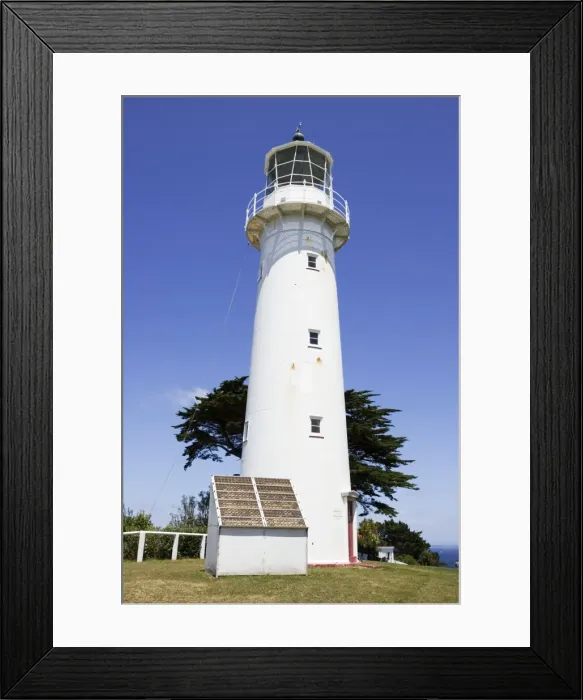Framed Print : Tiritiri lighthouse - built in 1864 ia one of a few surviving lighthouse settlements in New Zealand; it is also one of the oldest. The cast iron used to build it was made in Britain brought out by ship and bolted together on site Framed Print : Tiritiri lighthouse - built in 1864 ia one of a few surviving lighthouse settlements in New Zealand; it is also one of the oldest. The cast iron used to build it was made in Britain brought out by ship and bolted together on site