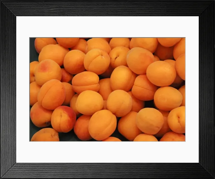 Framed Print : Apricots - cultivated in southern Europe Framed Print : Apricots - cultivated in southern Europe
