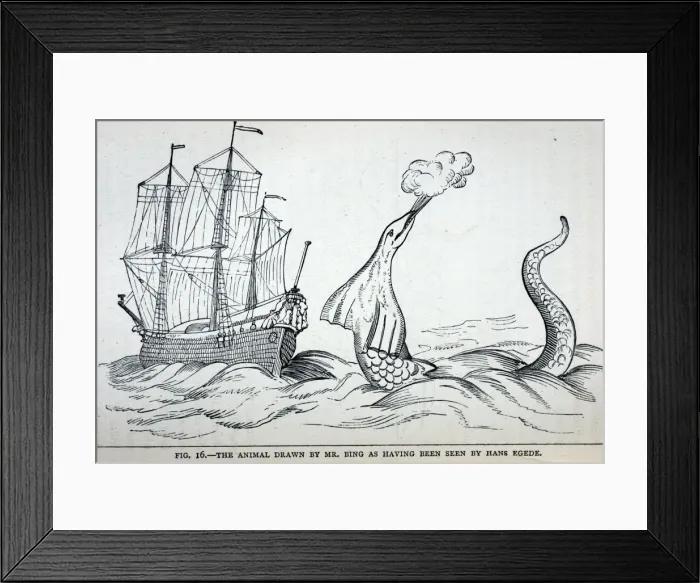 Framed Print : Black & White Illustration: Sea Serpent- from International Fisheries Exhibition Catalogue Framed Print : Black & White Illustration: Sea Serpent- from International Fisheries Exhibition Catalogue