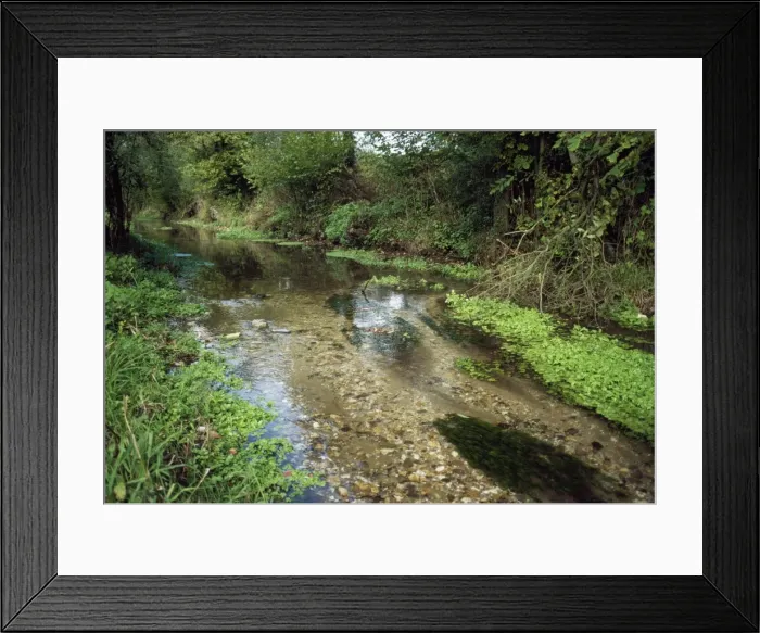 Framed Print : Chalk Stream - The Winterbourne - Newbury - Berkshire Framed Print : Chalk Stream - The Winterbourne - Newbury - Berkshire