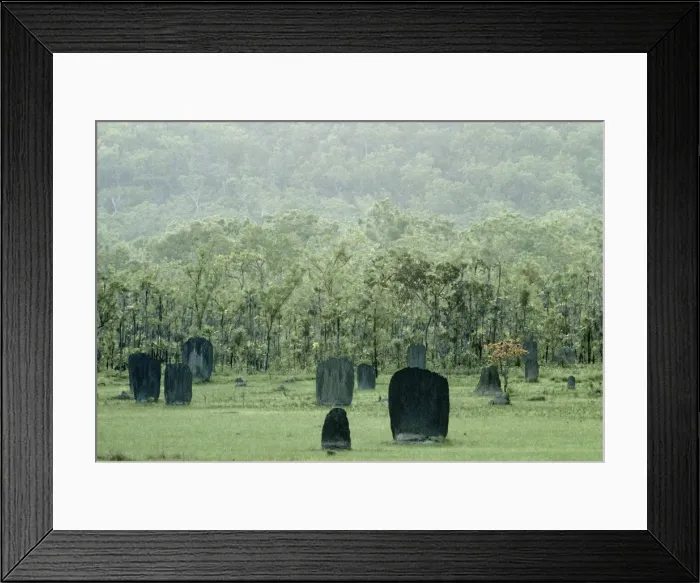 Framed Print : Magnetic Termite Mounds - Northern Territory - Australia Framed Print : Magnetic Termite Mounds - Northern Territory - Australia