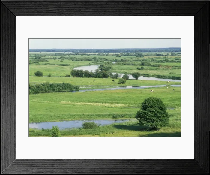 Framed Print : Poland Wetland. Biebrza National Park Framed Print : Poland Wetland. Biebrza National Park
