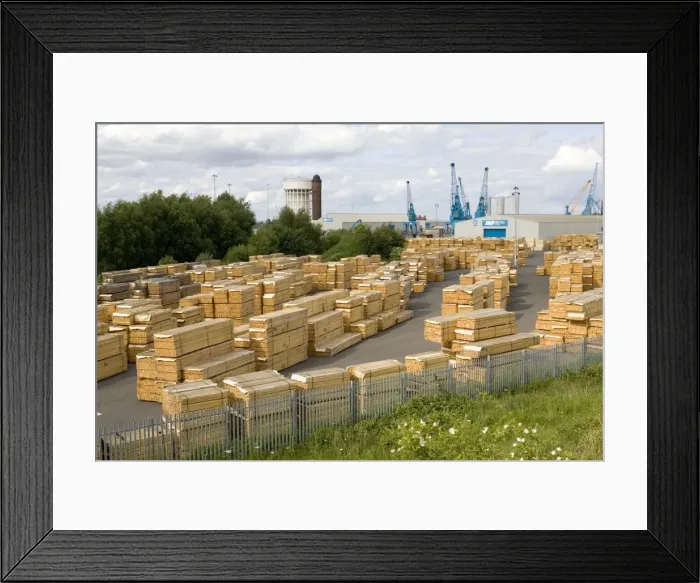 Framed Print : Stacked timber at Goole docks Yorkshire UK Framed Print : Stacked timber at Goole docks Yorkshire UK