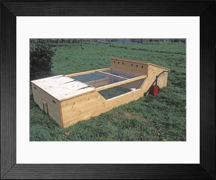 Framed Print : Mobile poultry ark for chickens in field - UK Framed Print : Mobile poultry ark for chickens in field - UK