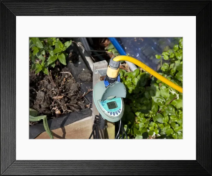 Framed Print : Small electronic compterised water irrigation controller - for automatic watering greenhouse UK Framed Print : Small electronic compterised water irrigation controller - for automatic watering greenhouse UK