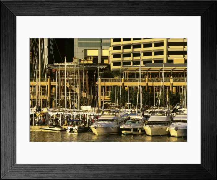 Framed Print : Cockle Bay during the Boat Show Darling Harbour, Sydney, New South Wales, Australia JPF50302