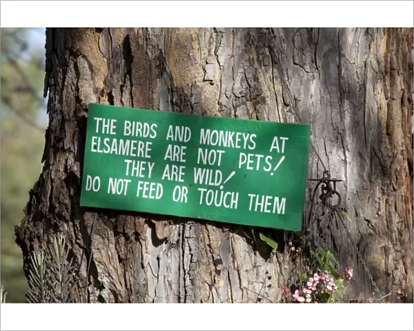 Sign on tree - Do not touch or feed birds and monkeys - Elsamere Naivasha - Kenya