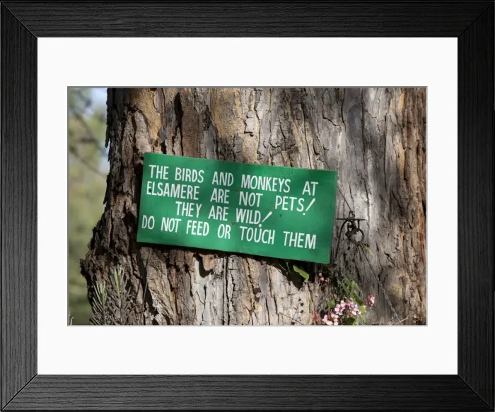 Framed Print : Sign on tree - Do not touch or feed birds and monkeys - Elsamere Naivasha - Kenya Framed Print : Sign on tree - Do not touch or feed birds and monkeys - Elsamere Naivasha - Kenya