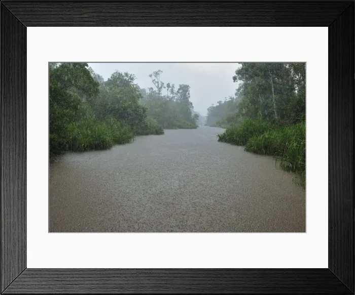 Framed Print : heavy rain - Sekonyer river with forest - Tanjung Puting National Park - Kalimantan - Borneo - Indonesia Framed Print : heavy rain - Sekonyer river with forest - Tanjung Puting National Park - Kalimantan - Borneo - Indonesia