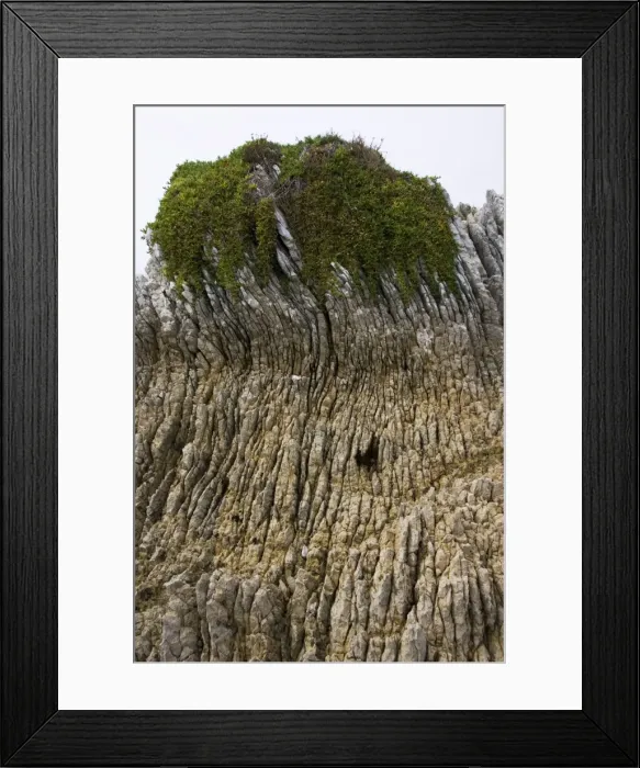 Framed Print : Rock formations - Oligocene tilted folded vertical limestone rocks on coast of Kaikoura. South Island - New Zealand Framed Print : Rock formations - Oligocene tilted folded vertical limestone rocks on coast of Kaikoura. South Island - New Zealand