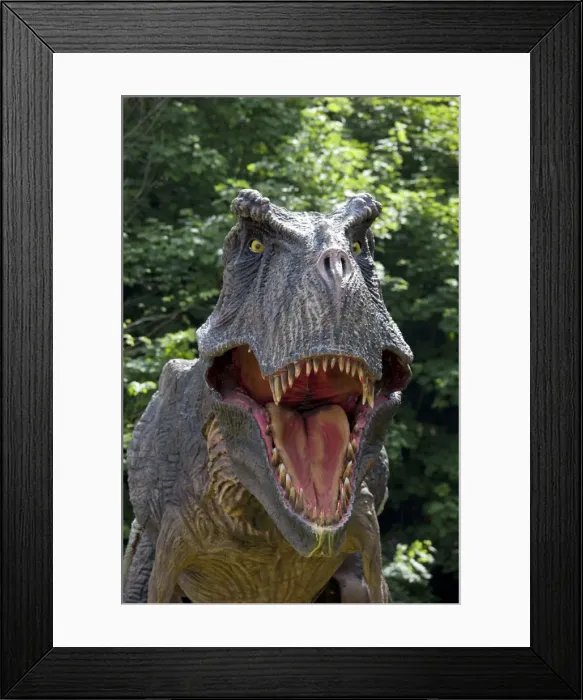 Framed Print : Prehistoric Reconstruction - close up head of Tyrannosaurus Rex - an extinct carnivorous therpod - Wildlife Park - Combe Martin - Devon - UK