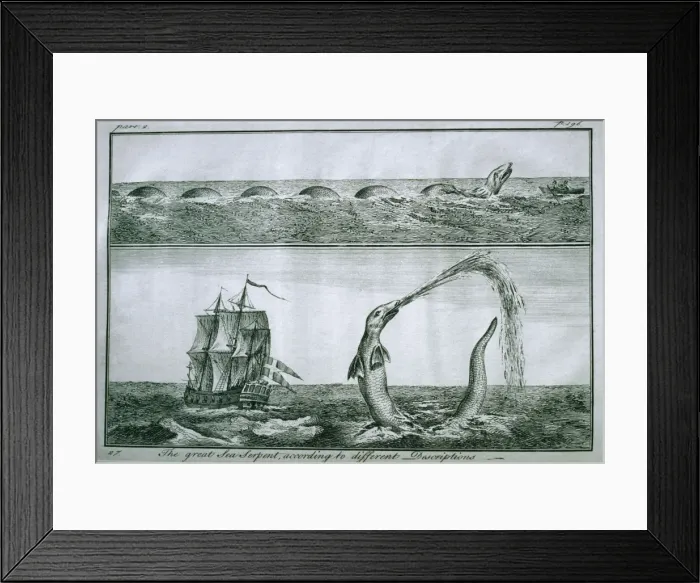 Framed Print : Sea Monster - print from Pontoppidan 1755 Framed Print : Sea Monster - print from Pontoppidan 1755