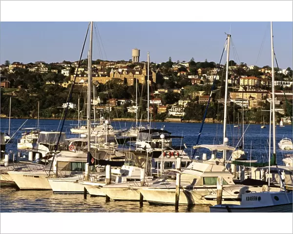 Sailing boats moored - Kincoppal School of the Sacred Heart Rose Bay, Sydney, New South Wales, Australia JPF46622