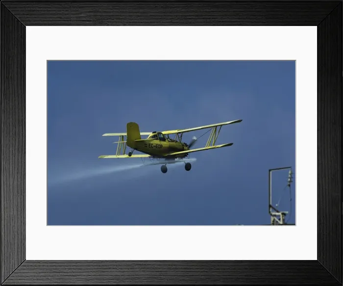 Framed Print : Plane Crop spraying in Adalucia, Spain, January Framed Print : Plane Crop spraying in Adalucia, Spain, January