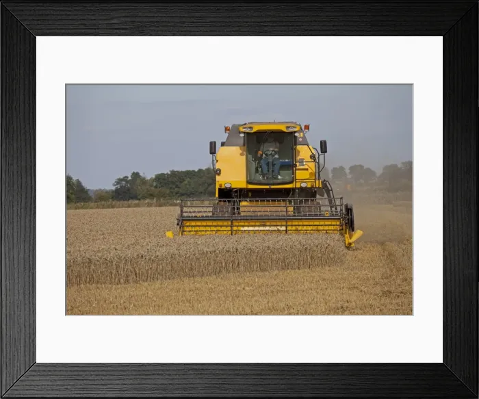 Framed Print : Farming - New Holland Combine Harvester - harvesting Wheat field - Cotswolds - UK Framed Print : Farming - New Holland Combine Harvester - harvesting Wheat field - Cotswolds - UK