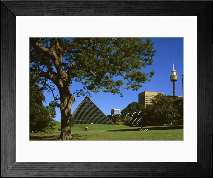 Framed Print : The Glass Pyramid (a hothouse) in Royal Botanic Gardens Sydney, New South Wales, Australia JPF50210 Framed Print : The Glass Pyramid (a hothouse) in Royal Botanic Gardens Sydney, New South Wales, Australia JPF50210