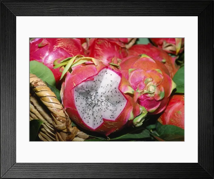 Framed Print : Dragon Fruit - Vietnam