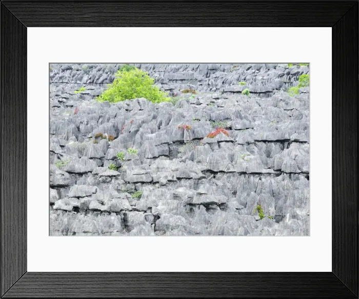 Framed Print : Tsingy - Limestone pinnacles - Ankarana National Park - Northern Madagascar Framed Print : Tsingy - Limestone pinnacles - Ankarana National Park - Northern Madagascar