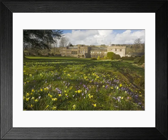 Framed Print : Forde Abbey, Dorset, in early spring, with daffodils, crocuses etc. Originally a medieval Cistercian Abbey Framed Print : Forde Abbey, Dorset, in early spring, with daffodils, crocuses etc. Originally a medieval Cistercian Abbey