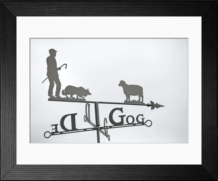 Framed Print : Close up of ornamental Welsh weather vane with shepherd sheep dog and sheep against plain sky UK Framed Print : Close up of ornamental Welsh weather vane with shepherd sheep dog and sheep against plain sky UK