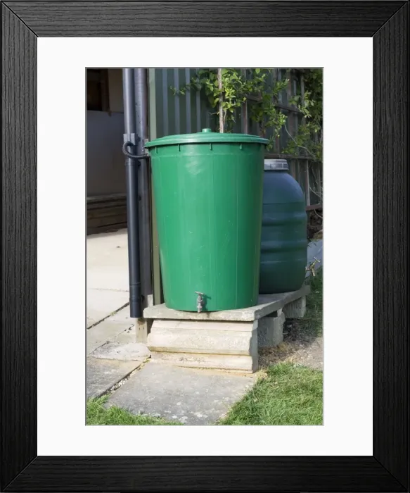 Framed Print : Water Tanks - two linked green plastic water butts collecting rainwater from shed roof Cheltenham UK Framed Print : Water Tanks - two linked green plastic water butts collecting rainwater from shed roof Cheltenham UK
