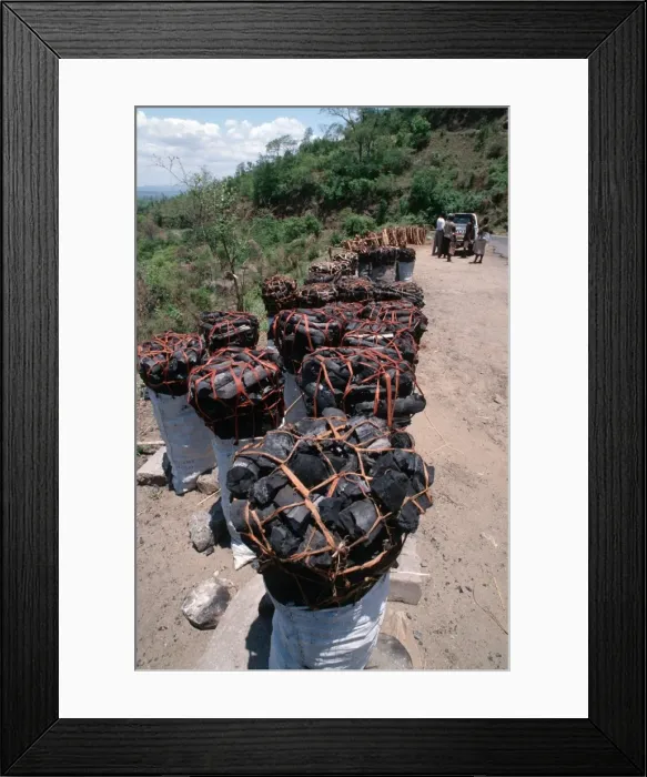 Framed Print : Sacks of charcoal & fuelwood for sale, Malawi charcoal production is causing severe deforestation in the Shire River region Southern Malawi, Africa Framed Print : Sacks of charcoal & fuelwood for sale, Malawi charcoal production is causing severe deforestation in the Shire River region Southern Malawi, Africa