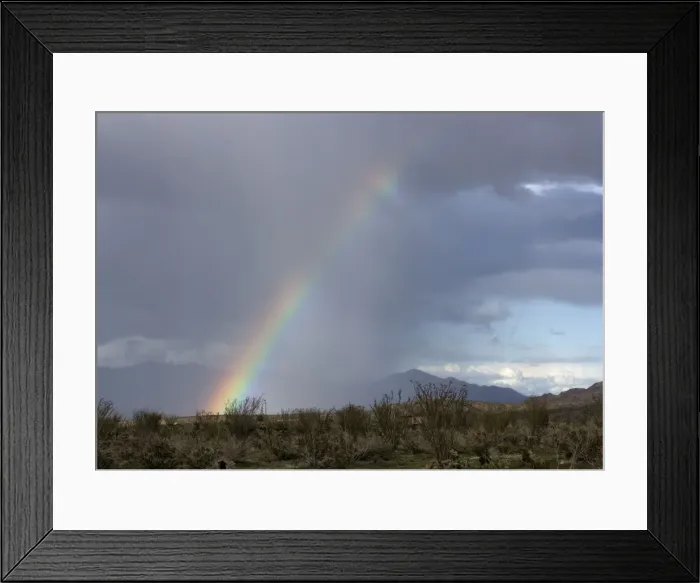 Framed Print : Rainbow in the desert; el nino year Framed Print : Rainbow in the desert; el nino year
