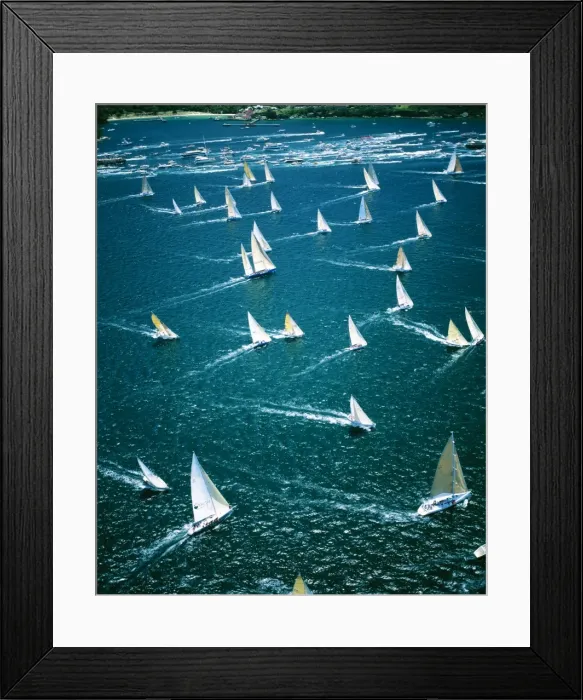 Framed Print : © Jean-Paul Ferrero / ARDEA LONDON Framed Print : © Jean-Paul Ferrero / ARDEA LONDON