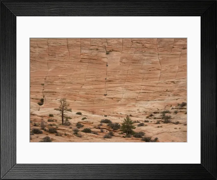 Framed Print : Zion National Park, Utah: huge sandstone cliff at checkerboard mesa Framed Print : Zion National Park, Utah: huge sandstone cliff at checkerboard mesa