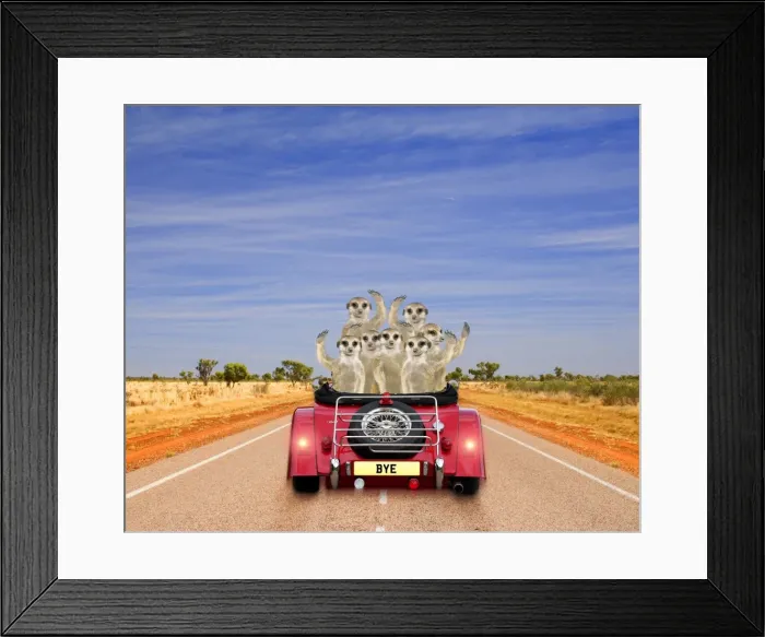 Framed Print : Meerkats - in car waving Digital Manipulation: Car JD - Meerkats TD Framed Print : Meerkats - in car waving Digital Manipulation: Car JD - Meerkats TD