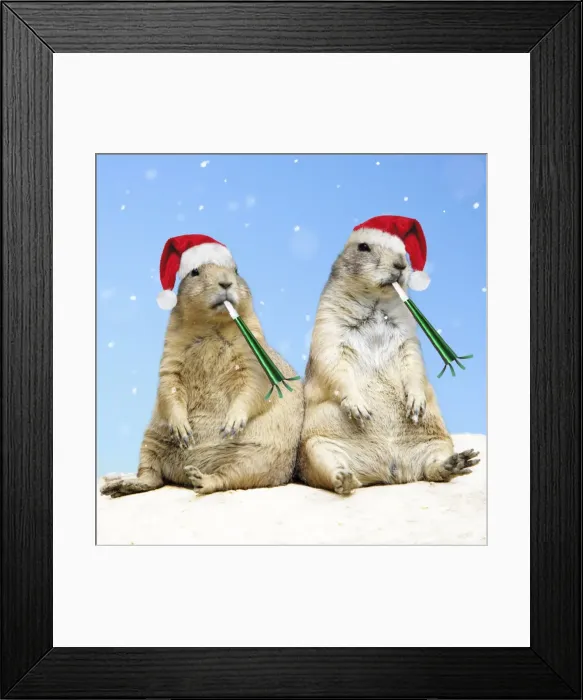 Framed Print : Black-tailed Prairie Dog - with Christmas hats and party blowers Digital Manipulation: hats & party blowers (Su) - added blue sky background & snow Framed Print : Black-tailed Prairie Dog - with Christmas hats and party blowers Digital Manipulation: hats & party blowers (Su) - added blue sky background & snow