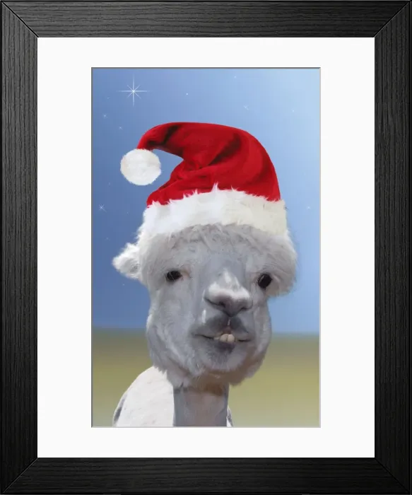 Framed Print : Alpaca - wearing Christmas hat Digital Manipulation: Hat (Su) - blue & sand coloured background - stars Framed Print : Alpaca - wearing Christmas hat Digital Manipulation: Hat (Su) - blue & sand coloured background - stars