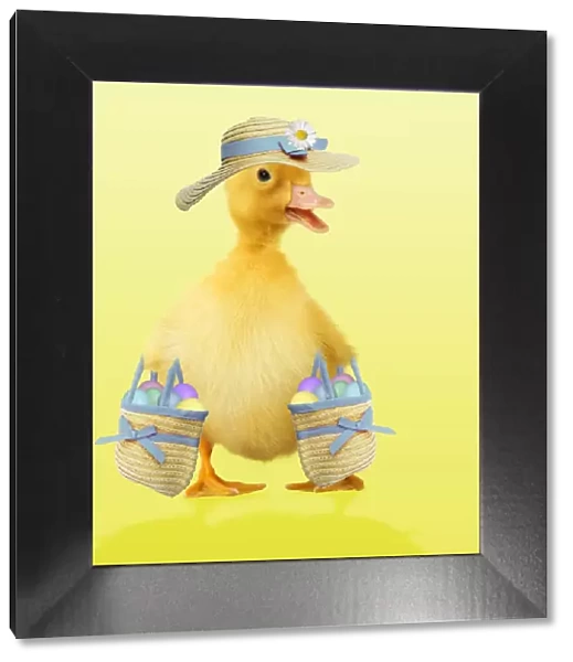Duckling - in hat carrying easter eggs Digital Manipuation: Colour background - eggs - hat & bag (Su)