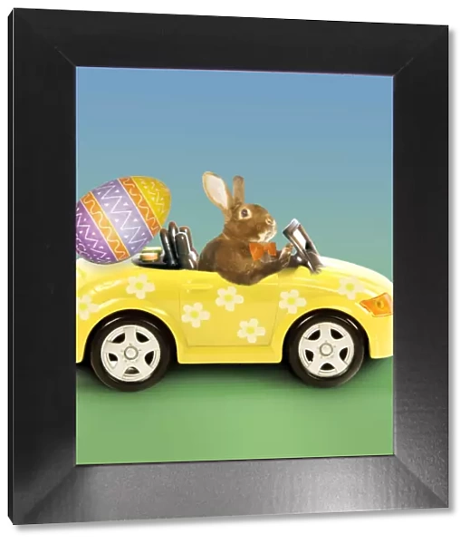 Rabbit - Easter Bunny driving car with easter egg Digital Manipulation: Rabbit & car LA - egg Su - Bow tie & flowers JD