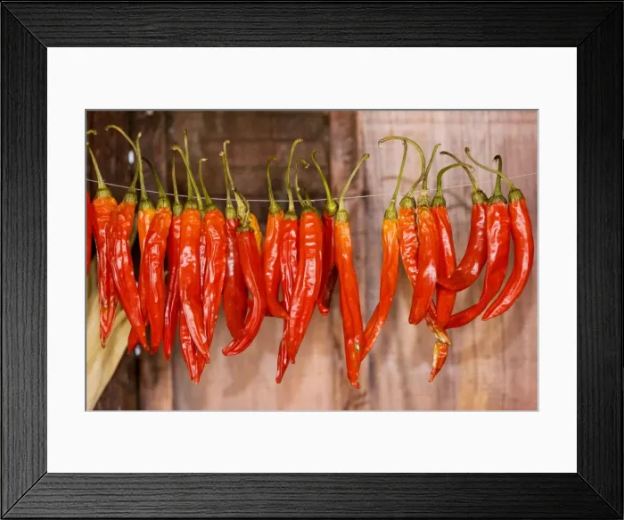 Framed Print : Chilli Peppers collected for drying in barn at Crit, saxon village, Transylvania, Romania Framed Print : Chilli Peppers collected for drying in barn at Crit, saxon village, Transylvania, Romania