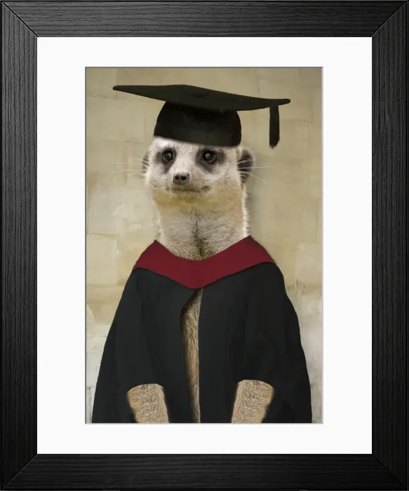 Framed Print : Meerkat - in mortar board and gown Digital Manipulation: Mortar - gown & background (ABM) Framed Print : Meerkat - in mortar board and gown Digital Manipulation: Mortar - gown & background (ABM)