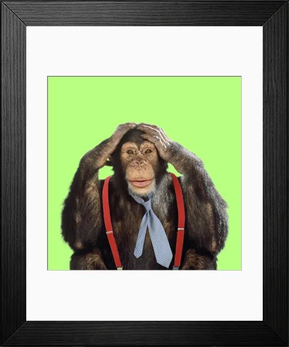 Framed Print : Chimpanzee - wearing tie and braces Digital Manipulation: Colour B / G Tie & braces (Su) Framed Print : Chimpanzee - wearing tie and braces Digital Manipulation: Colour B / G Tie & braces (Su)