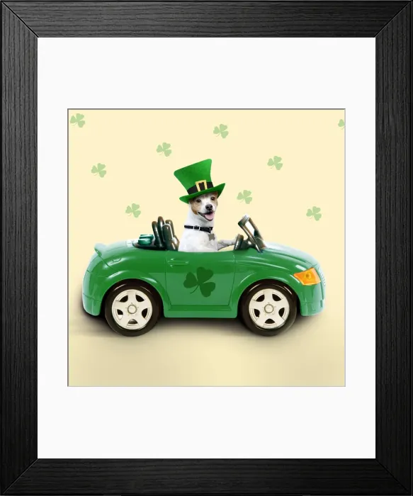 Framed Print : Dog - driving car - Saint Patrick's Day Digital Manipulation: Dog BB - added colour background & shamrocks - changed car (LA) colour - Hat (Su) Framed Print : Dog - driving car - Saint Patrick's Day Digital Manipulation: Dog BB - added colour background & shamrocks - changed car (LA) colour - Hat (Su)