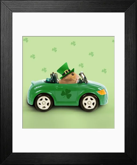 Framed Print : Hamster - driving car - Saint Patrick's Day Digital Manipulation: Added colour background & shamrocks - changed car colour - Car & Hamster LA - Hat (Su) Framed Print : Hamster - driving car - Saint Patrick's Day Digital Manipulation: Added colour background & shamrocks - changed car colour - Car & Hamster LA - Hat (Su)