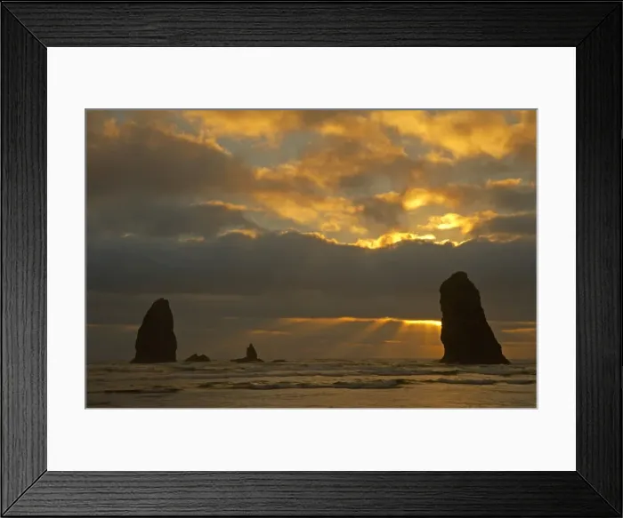 Framed Print : Offshore Stacks in evening light Cannon Beach Oregon, USA LA000991 Framed Print : Offshore Stacks in evening light Cannon Beach Oregon, USA LA000991