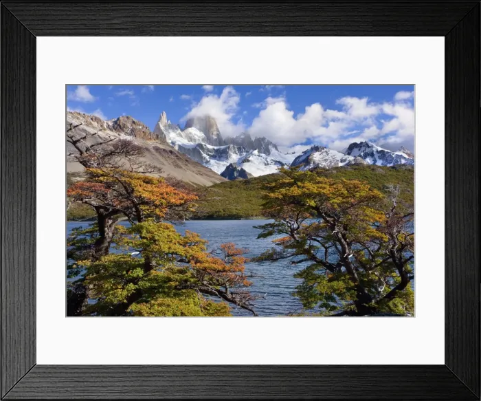 Framed Print : Fitz Roy Massif - mountain scenery including Cerro Fitz Roy and Laguna Capri in autumn - Los Glaciares National Park - Patagonia - Argentina - South America Framed Print : Fitz Roy Massif - mountain scenery including Cerro Fitz Roy and Laguna Capri in autumn - Los Glaciares National Park - Patagonia - Argentina - South America