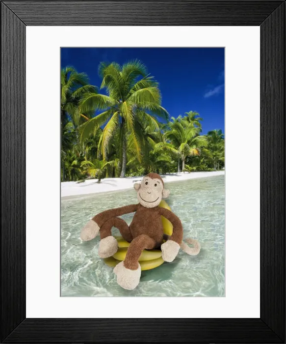 Framed Print : Monkey cuddly toy resting in tropical scene Digital Manipulation: Monkey (Su) - Bananas (LA) - Background (PM) Framed Print : Monkey cuddly toy resting in tropical scene Digital Manipulation: Monkey (Su) - Bananas (LA) - Background (PM)