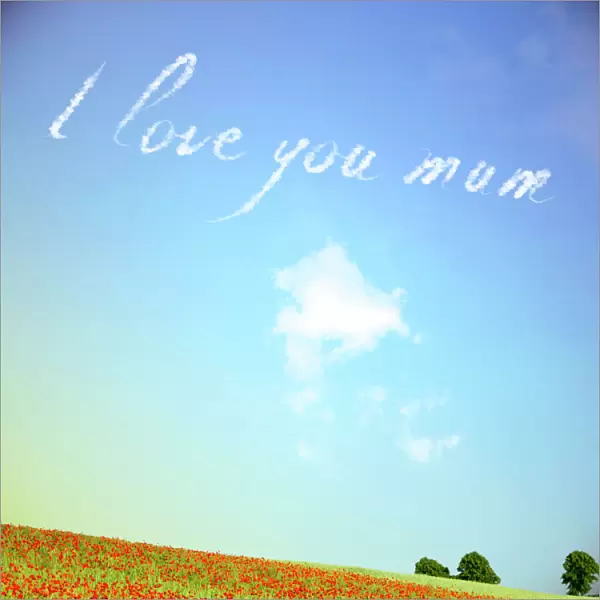 Sky Writing - I love you mum Digital Manipulation: Poppies USH-5396 - clouds and sky all made